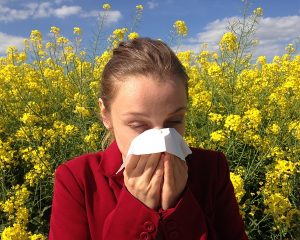 Allergie Heuschnupfen