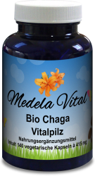Bio Chaga Kapseln