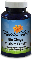Bio Chaga Extrakt Kapseln