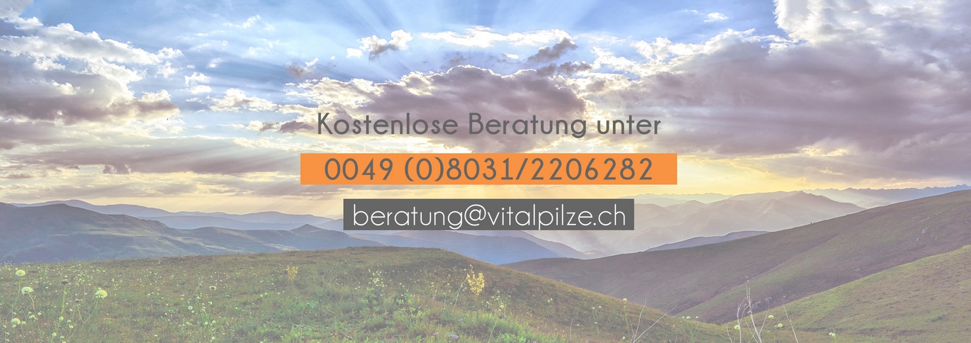 Beratung bei Vitalpilze.ch